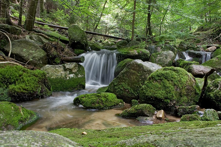 landscape photograph of flowing water between trees, waterfall HD wallpaper