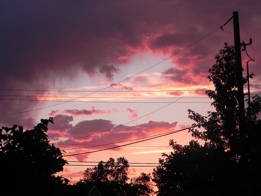 morning, clouds, sunrise, tree, sky, sunset, plant, cable, silhouette HD wallpaper