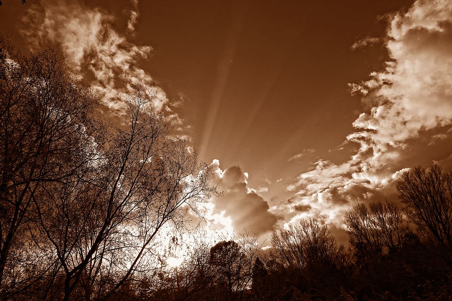 sky, clouds, cumulus, trees, silhouette, sun rays, sunlight HD wallpaper