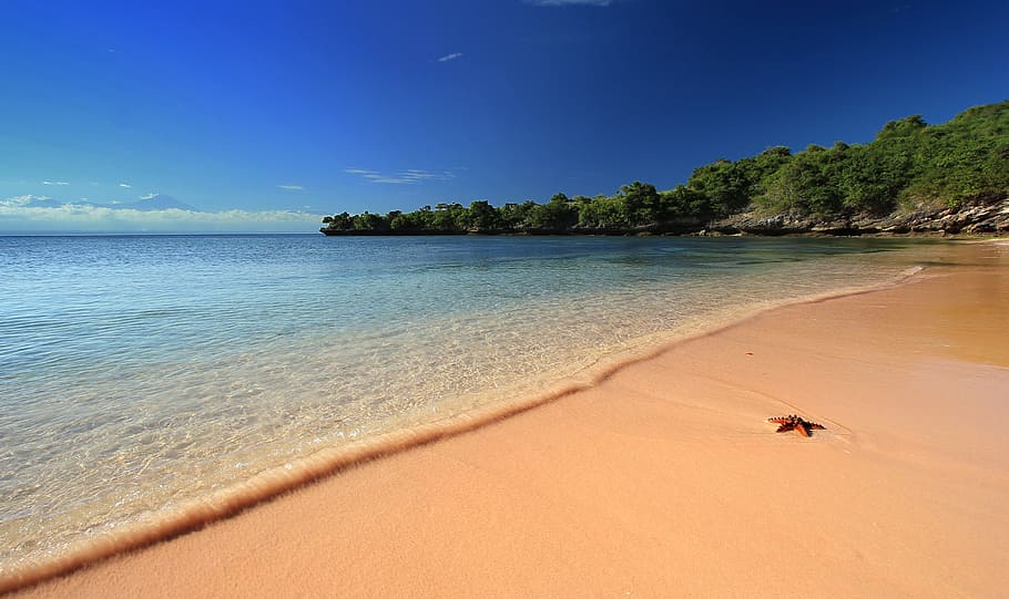 lombok, pink, beach, summer, land, water, sea, sand, sky, scenics - nature