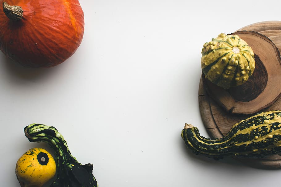 Decorative pumpkins, top view, white background, autumn, food HD wallpaper
