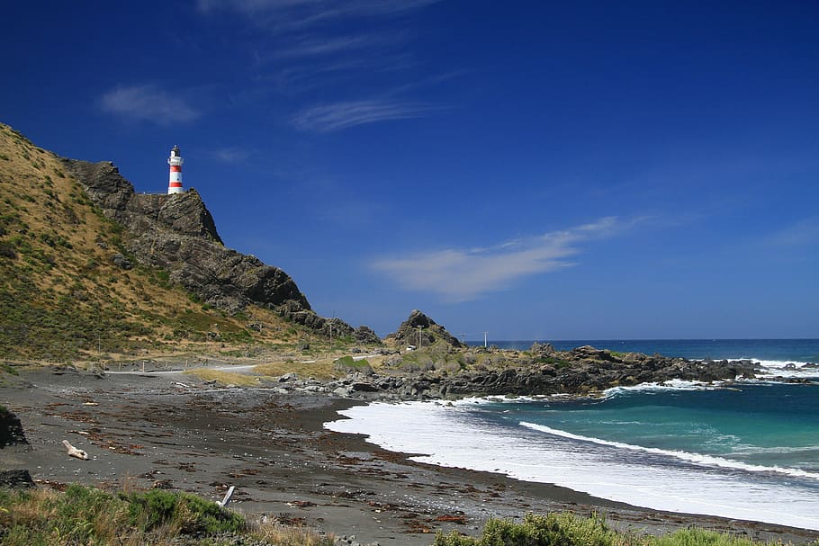lighthouse on top of hill near seashore, cape palliser lighthouse, HD wallpaper