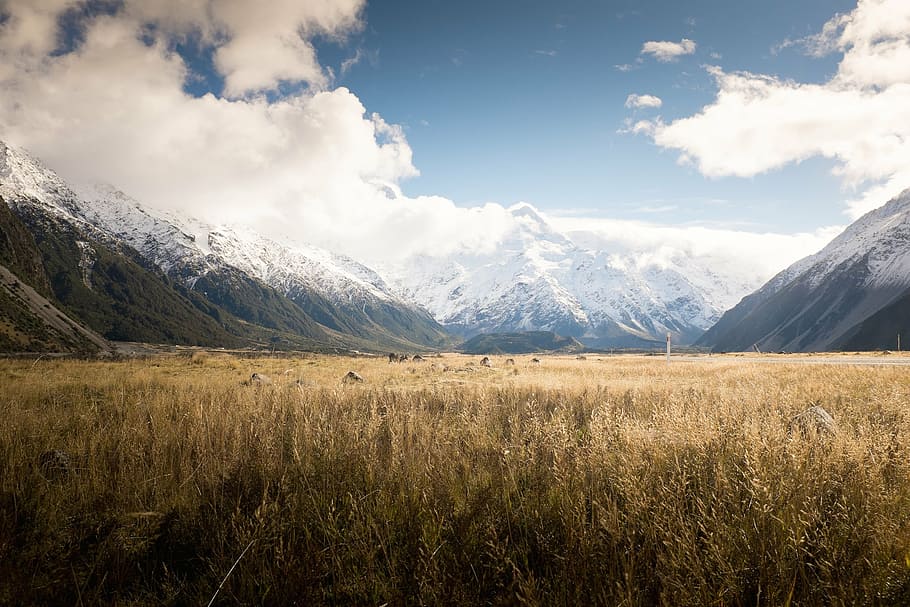 rice field and mountain, mountains, sky, clouds, harvest, farm HD wallpaper