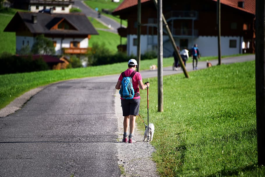 road, walk, mountain, excursion, trekking, backpack, italy HD wallpaper