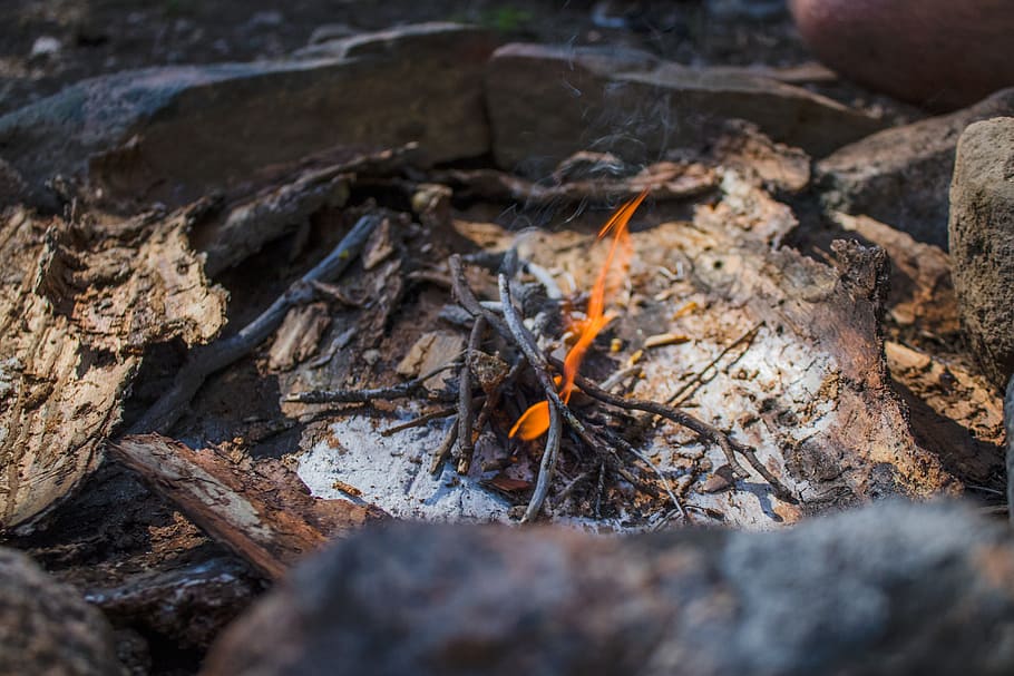 tilt shift photography of bonfire, campfire, flame, twigs, firewood HD wallpaper