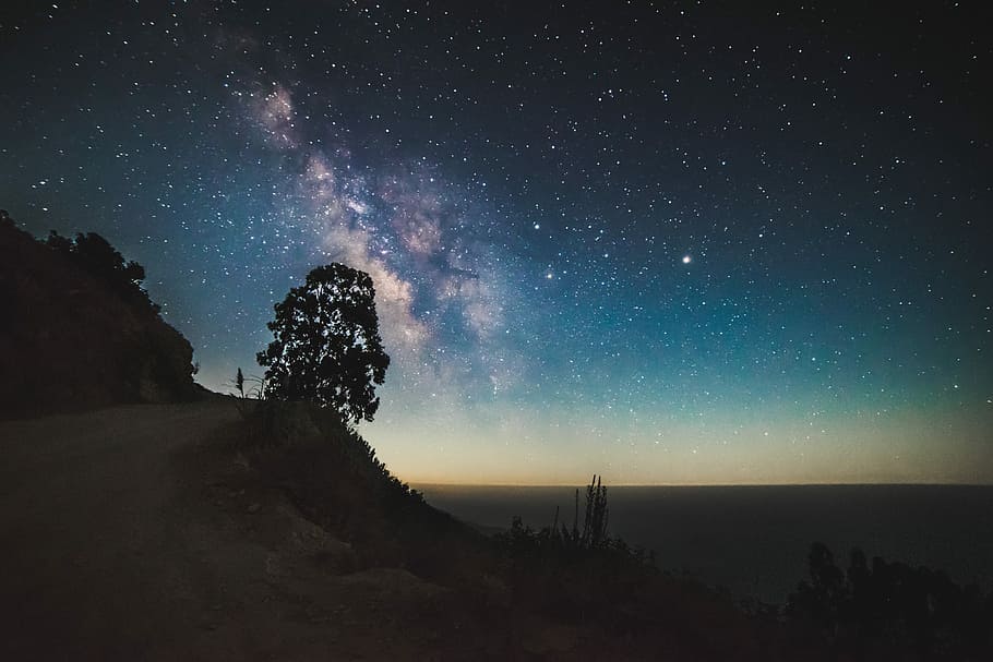 tree near cliff under starry night, photography of milky way HD wallpaper