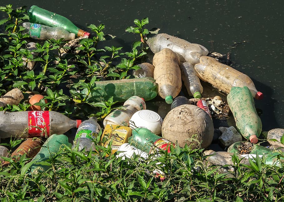 trash, river pines, rubble, pollution, pet bottle, sewer, nature HD wallpaper