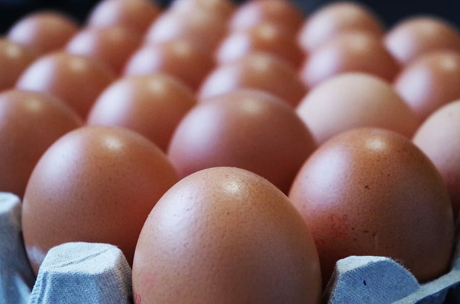 Eggs, Home, Container, Egg White, Yolk, in a row, food and drink HD wallpaper