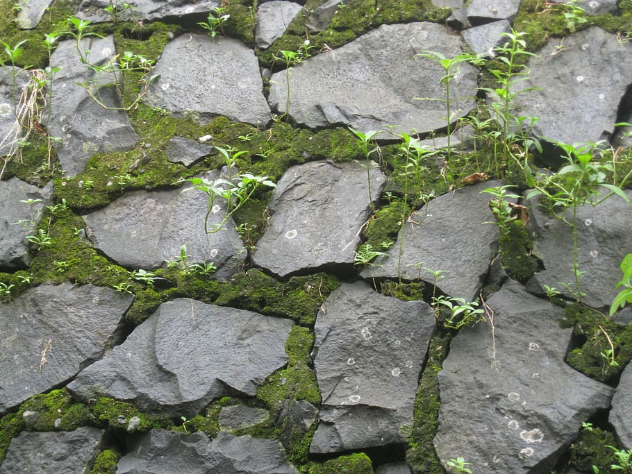 stones, wall, moss, texture, natural, surface, pattern, backgrounds HD wallpaper