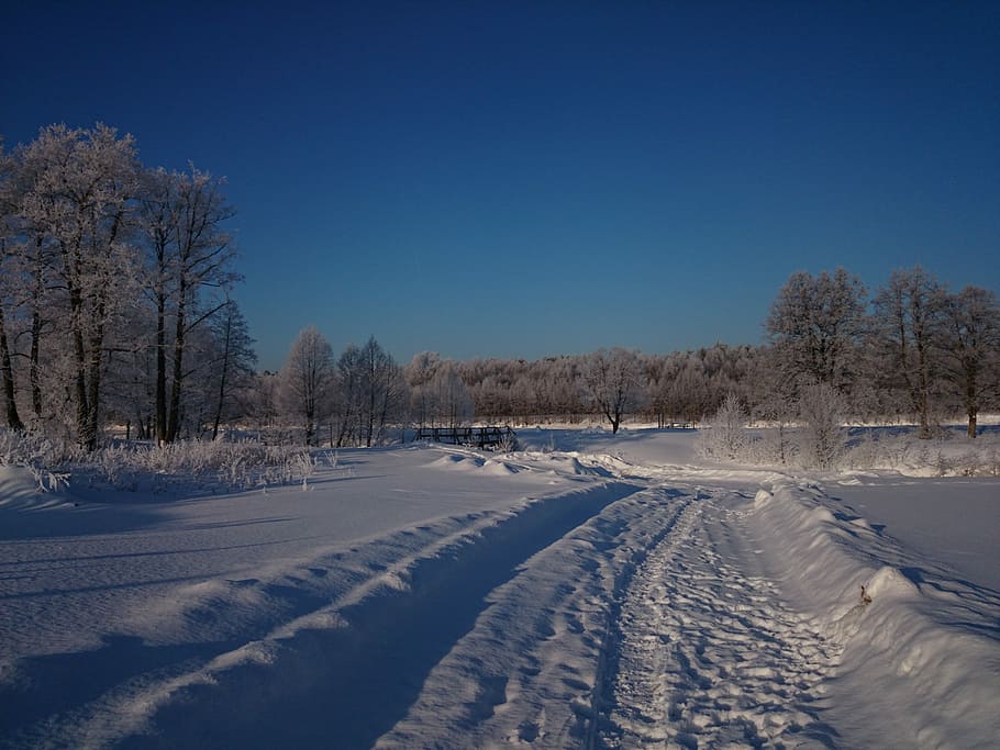 Winter, Landscape, Forest, Bridge, cold temperature, snow, nature HD wallpaper