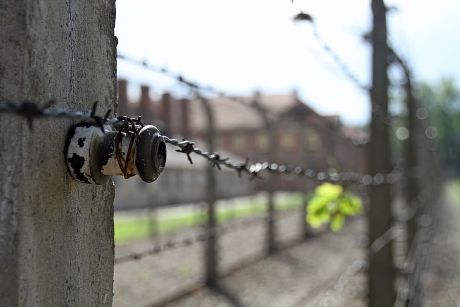 selective focus photo of barb wire, auschwitz, poland, war HD wallpaper