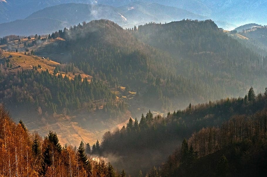 Carpathians, Piatra Craiului, Mountain, forest, landscape, romania, HD wallpaper