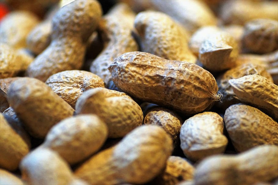 closeup photography of brown peanuts, groundnuts, paper, peel HD wallpaper