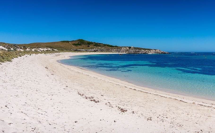 Rottnest Island, Wadjemup, west australia, western australia, HD wallpaper