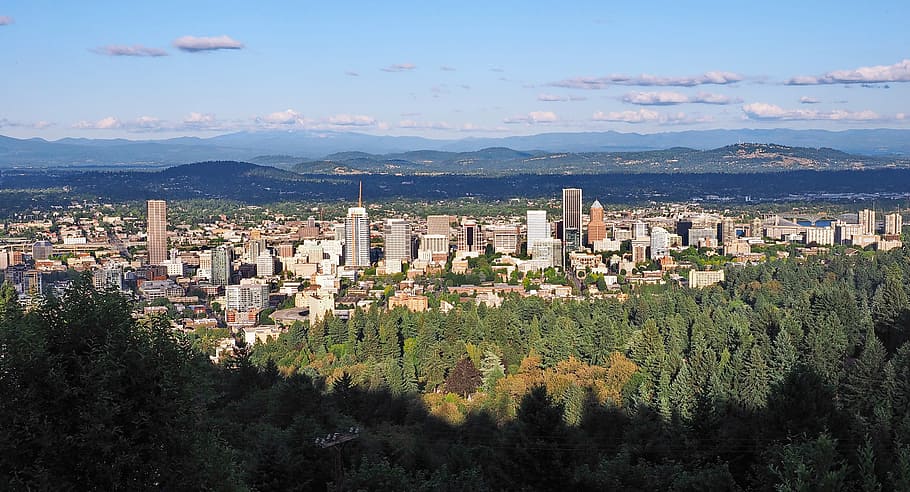 aerial view of city landscape during daytime, tall trees near city buildings HD wallpaper