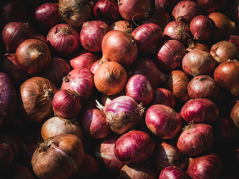 bunch of onions, pile of onion, vegetable, picked, grown, field HD wallpaper