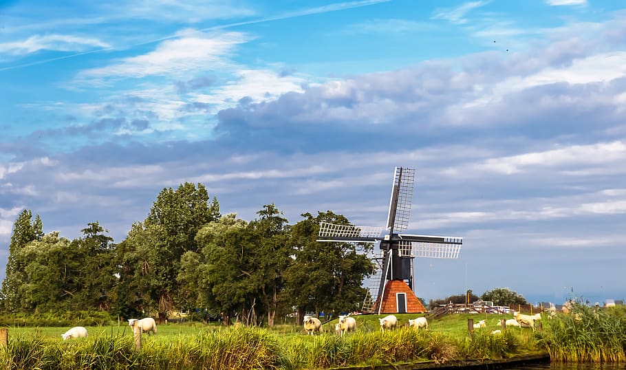 wind mill, landscape, netherlands, friesland, heaven, clouds, HD wallpaper