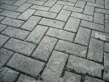 paving block, cement, box, square, road, pattern, full frame HD wallpaper