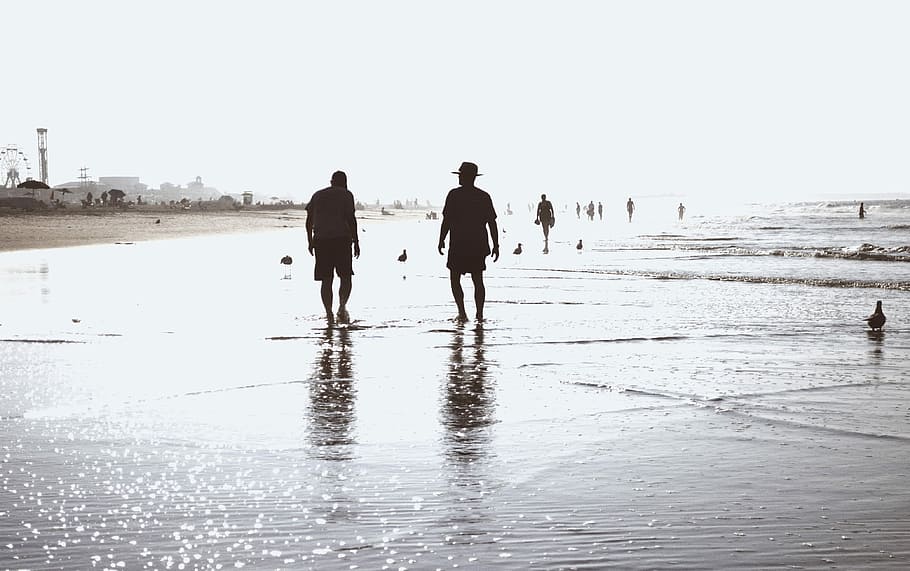 silhouette of 2 man on beach shore, ocean, water, sunset, nature HD wallpaper