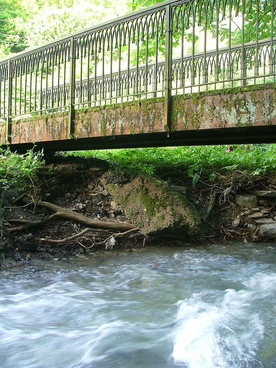 stream, bridge, limit, forest, water, nature, critter, moisture HD wallpaper
