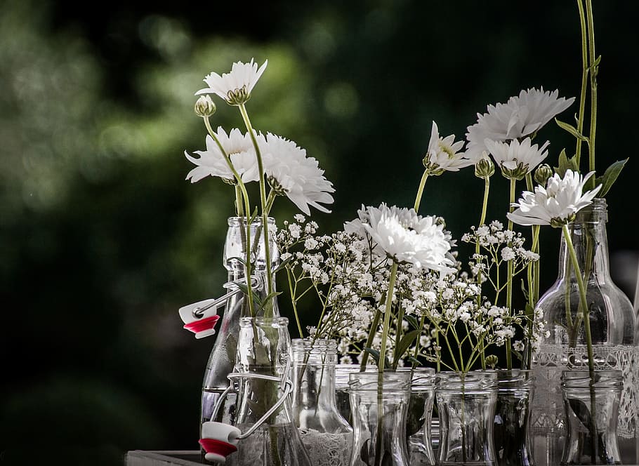 white petaled flowers on jar and bottles, hello, decoration HD wallpaper