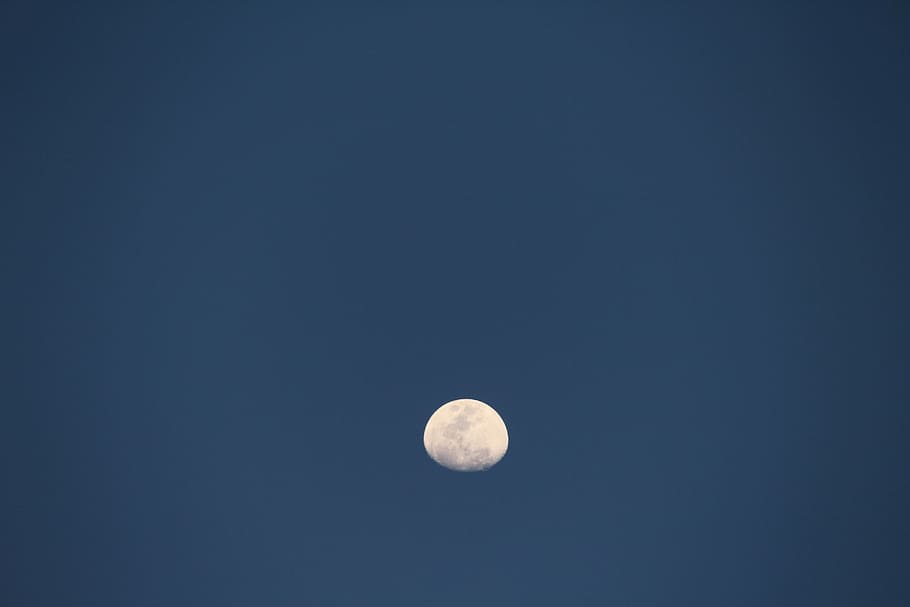 Moon, Night, Dark, Blue, Blue, Sky, Halloween, light, black HD wallpaper