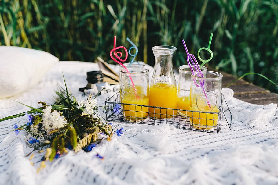 Picnic at the lakeshore, summer, resting, relax, book, time, food HD wallpaper