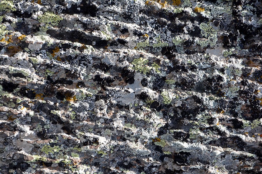 kennedy, stone, texture, composition, macro, nature, the stones are HD wallpaper