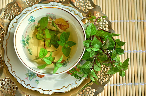 green leaf plant on bowl with liquid inside, peppermint, peppermint tea HD wallpaper