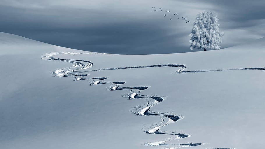 Lines and tracks in the snow, photos, landscape, patterns, public domain HD wallpaper