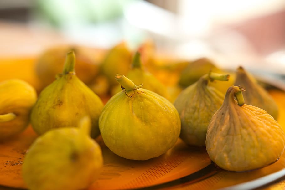 fig, figs, fig tree, fruit, fresh, food, organic, sweet, natural HD wallpaper