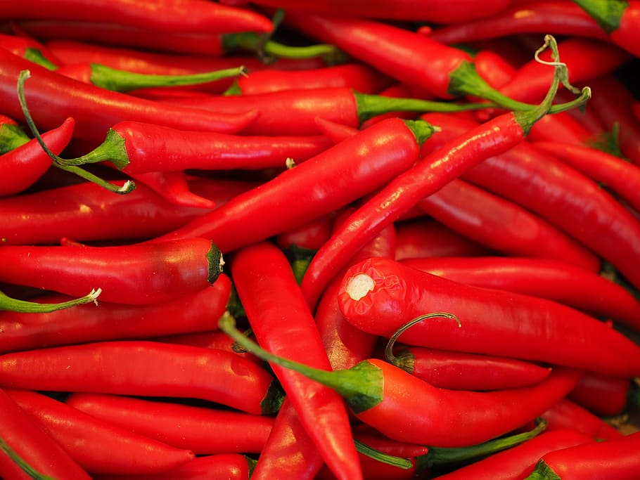 red chili peppers, sharp, spice, pepperoni, pods, nachtschattengewächs, HD wallpaper