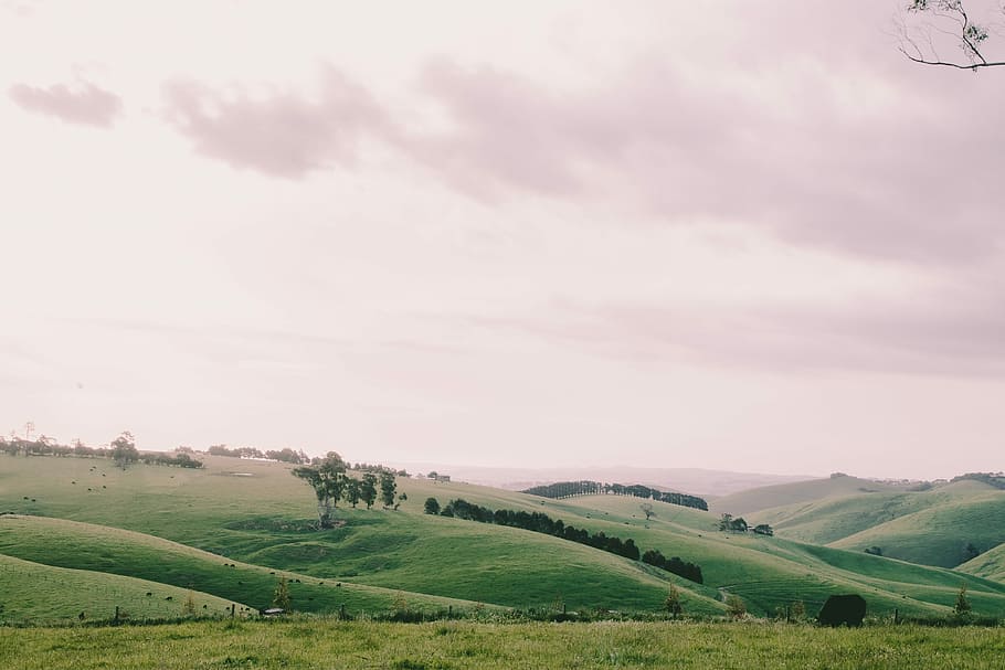 green hill and field under white clouds during daytime, green grass field taken under white clouds at daytime HD wallpaper