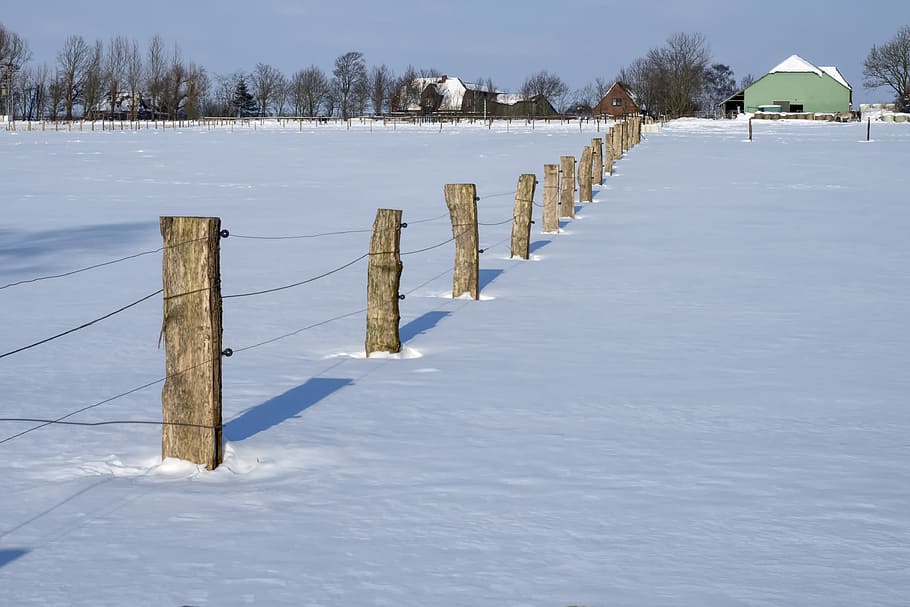coupling, field, fence, fence posts, agriculture, winter, snow HD wallpaper