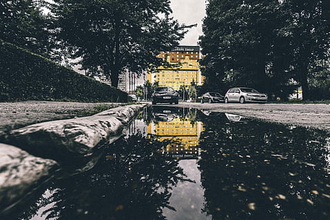 black vehicle park near green leaf tree over yellow high-rise building over cloudy sky at daytime, black car beside puddle and hedge wal HD wallpaper