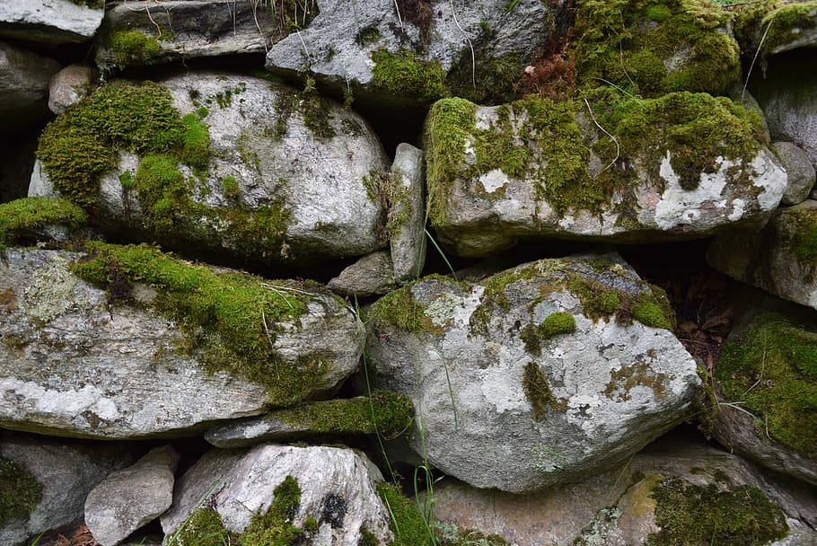 stones, stone wall, solid, rock, rock - object, no people, moss HD wallpaper