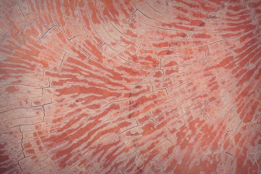 orange and white textile, abstract, antique, backdrop, background HD wallpaper