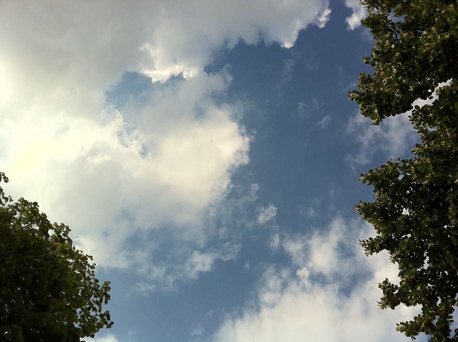clouds, sky, blue, clouds form, white, cumulus clouds, nature HD wallpaper