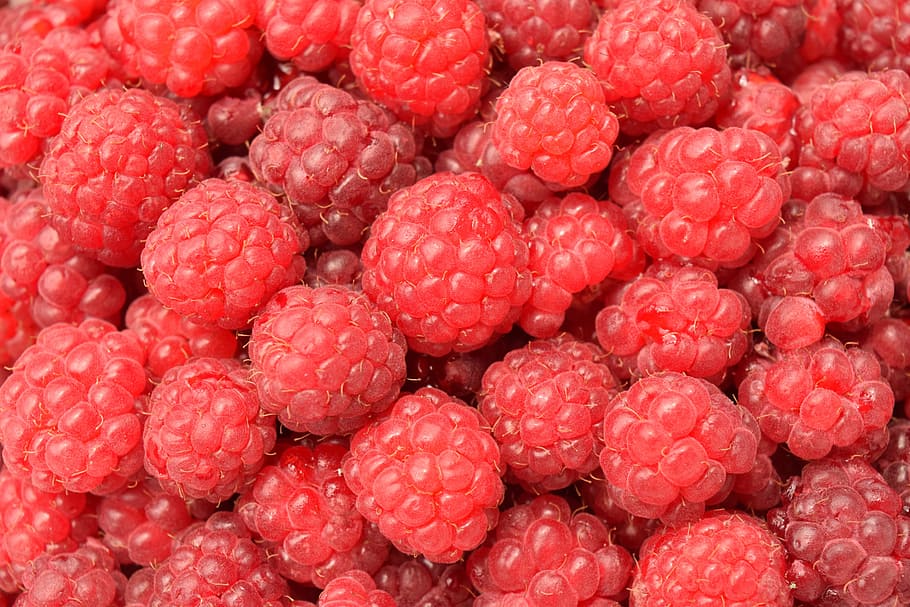 red fruits, raspberries, close, background, sweet, delicious HD wallpaper