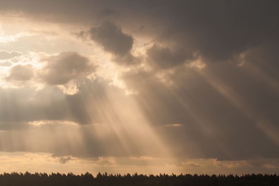 light rays passing through clouds, sun, sky, trees, forest, sunlight, HD wallpaper