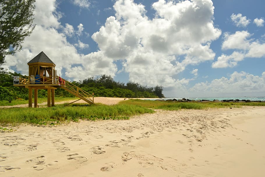 barbados, beach, beach hut, travel, sea, coast, tropical, scenic