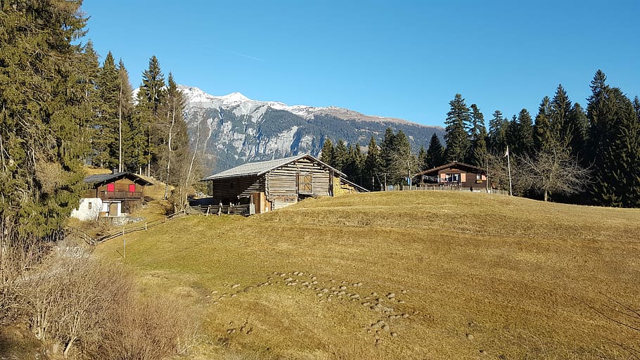 Nature, Idyll, Alpine Hut, house, mountain, built structure HD wallpaper