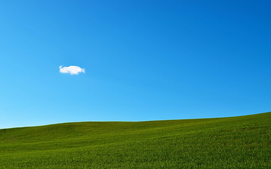 green grass field under blue sky, green grassland during daytime HD wallpaper