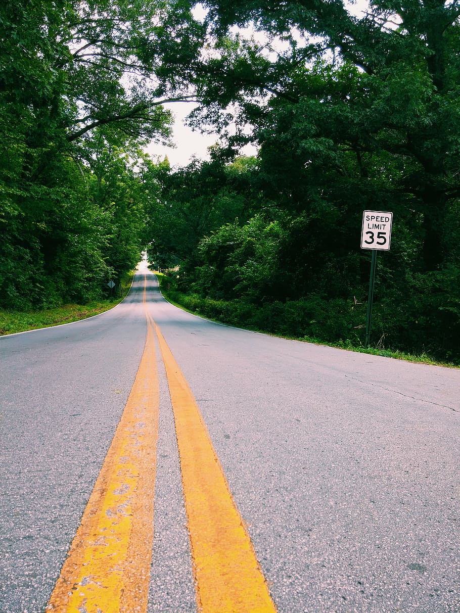 road, trees, forest, green, scenic, summer, country, street HD wallpaper