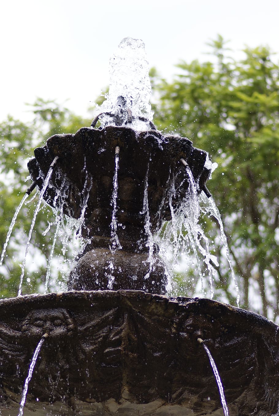 source, water, jets, gardens, motion, fountain, nature, focus on foreground HD wallpaper