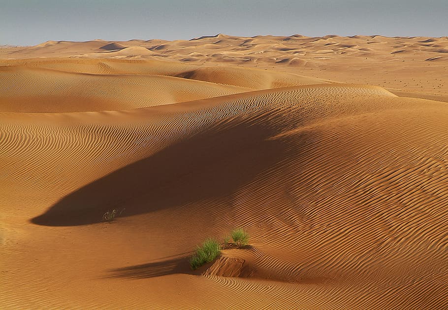 Hd Wallpaper Aerial Photography Of Oasis In Desert Tunisia Sahara Sand Wallpaper Flare