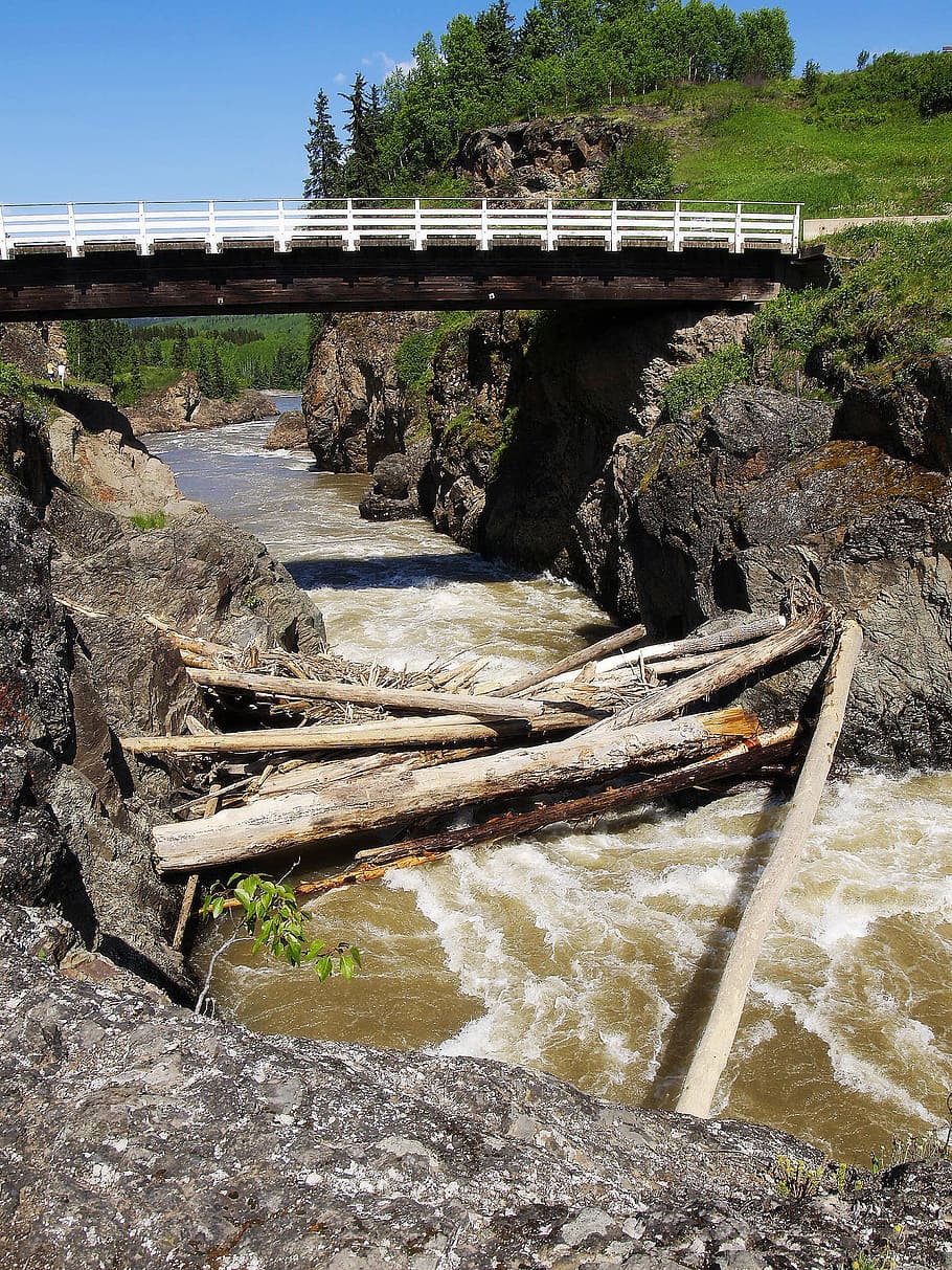 Bridge, River, Canyon, Trees, Nature, landscape, bridge - man made structure HD wallpaper