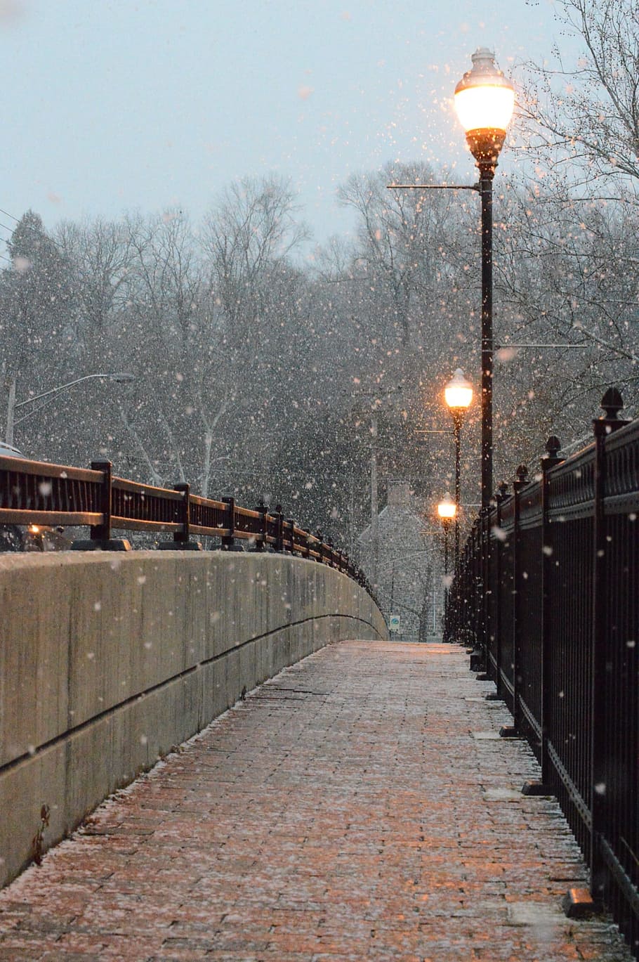 photo of turned on street lights near railing, lighted bridge posts under snow during daytime HD wallpaper