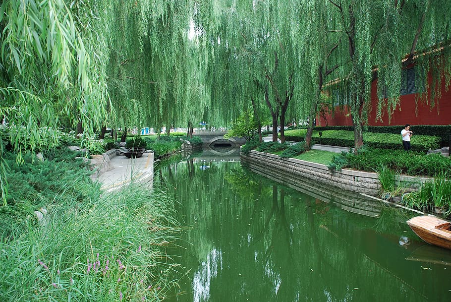 oriental, garden, summer, tree, canal, nature, japanese, gardening HD wallpaper