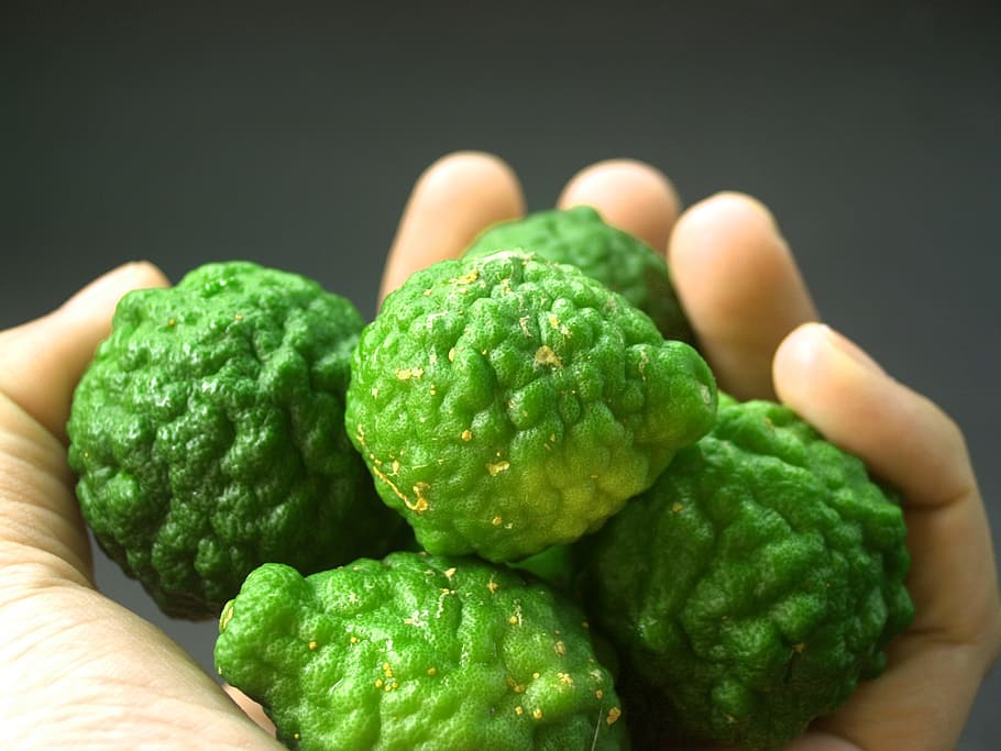 person holding fruits, bergamot, leaf, isolated, thailand, rough HD wallpaper